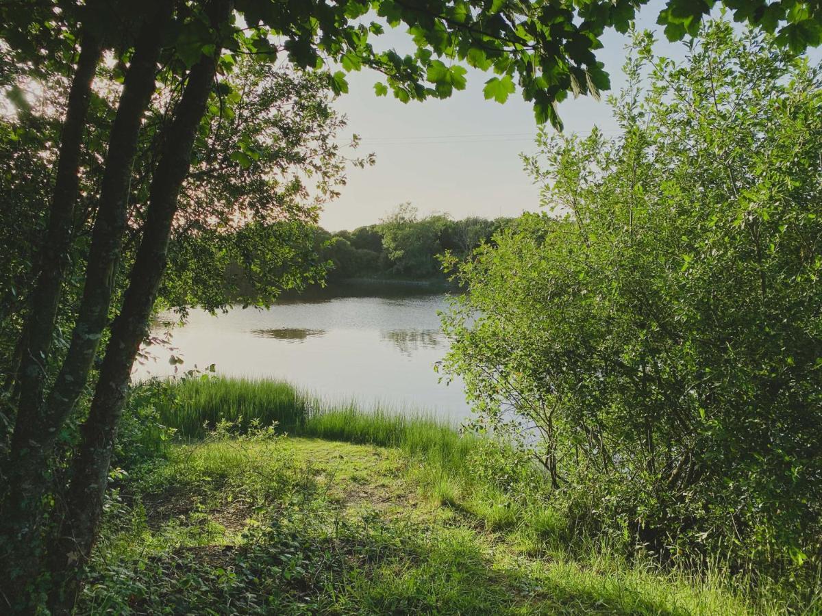Timber Hill Self Catering Cedar Lodges Брод-Хейвен Экстерьер фото